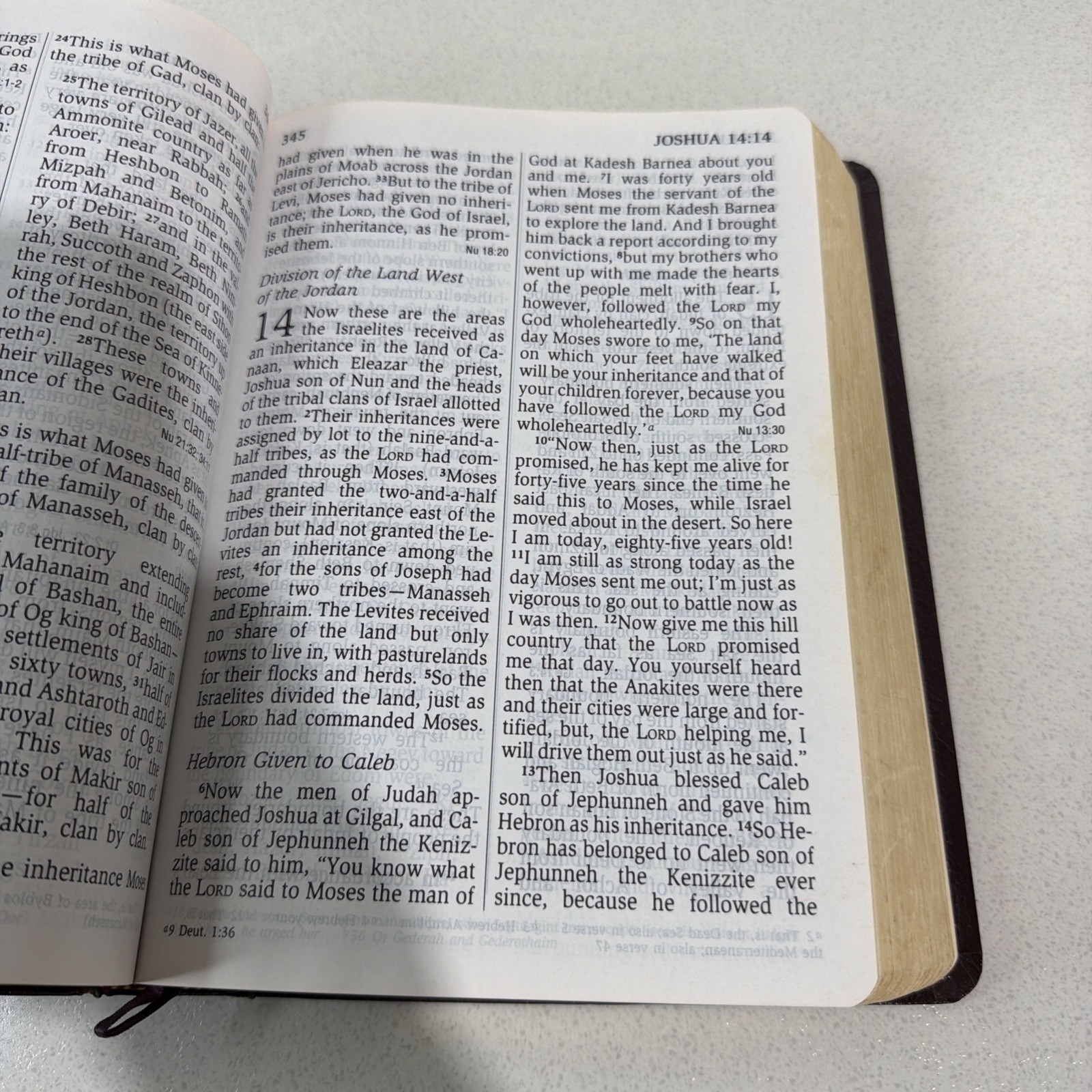 NIV 1984 Giant Print Reference Bible – Burgundy Imitation Leather
