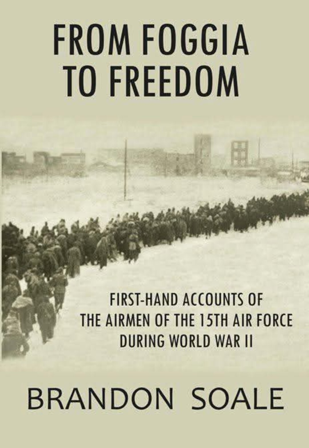 WWII Army Air Corps 15th Air Force WWII History From Foggia To Freedom B-17