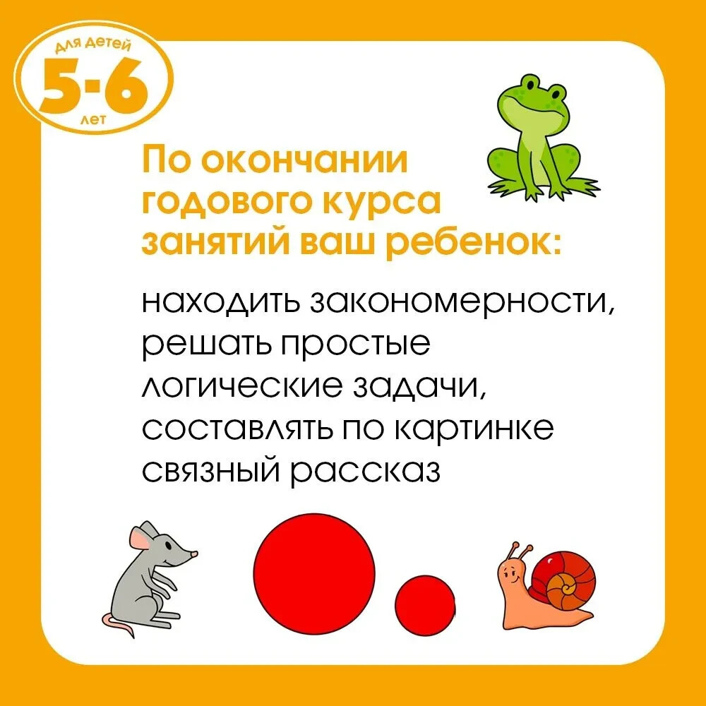 Грамотейка. Интеллектуальное развитие детей 5-6 лет Земцова
