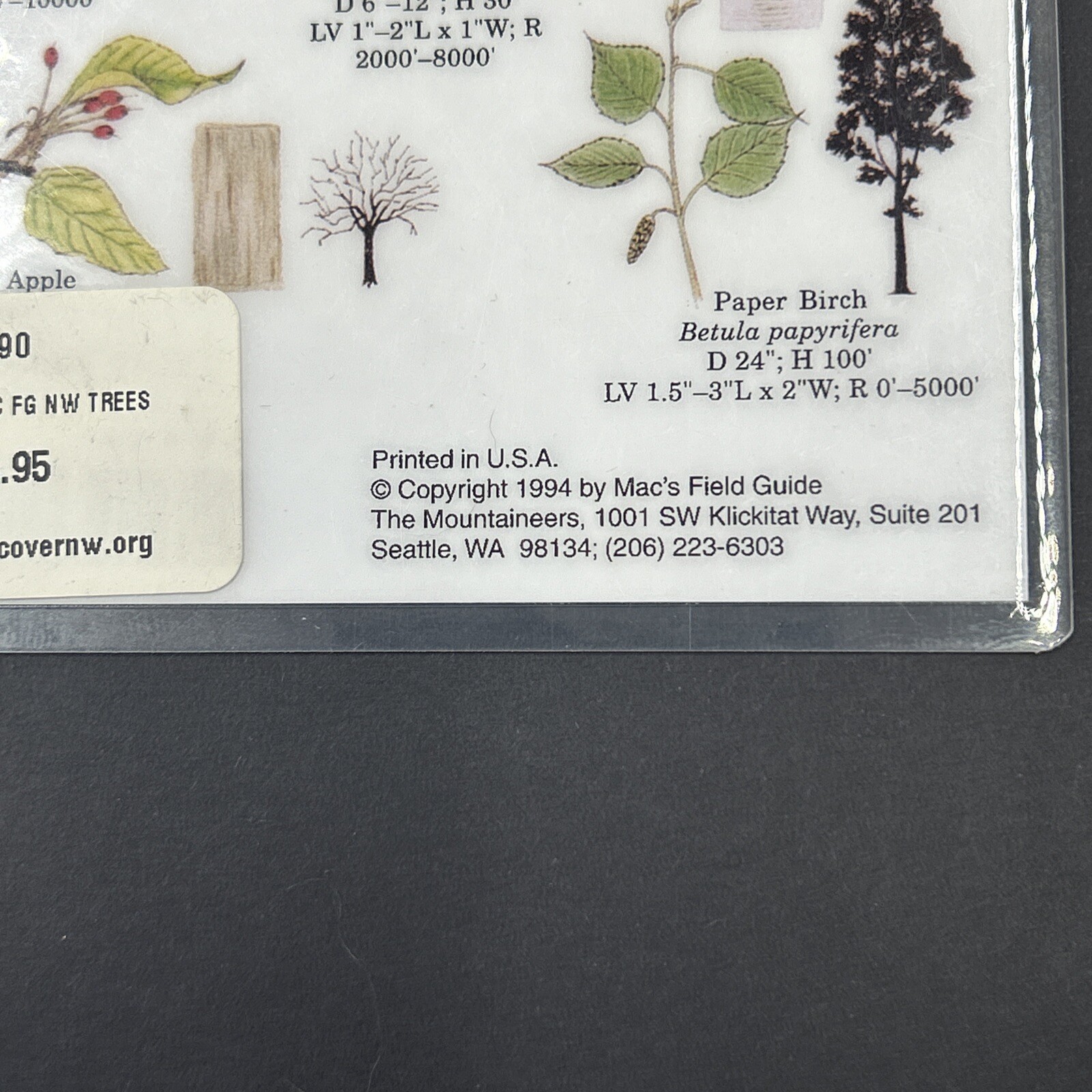 Vintage 1994 Macs Field Guide To Pacific Northwest Trees Laminated 10X7.5 in
