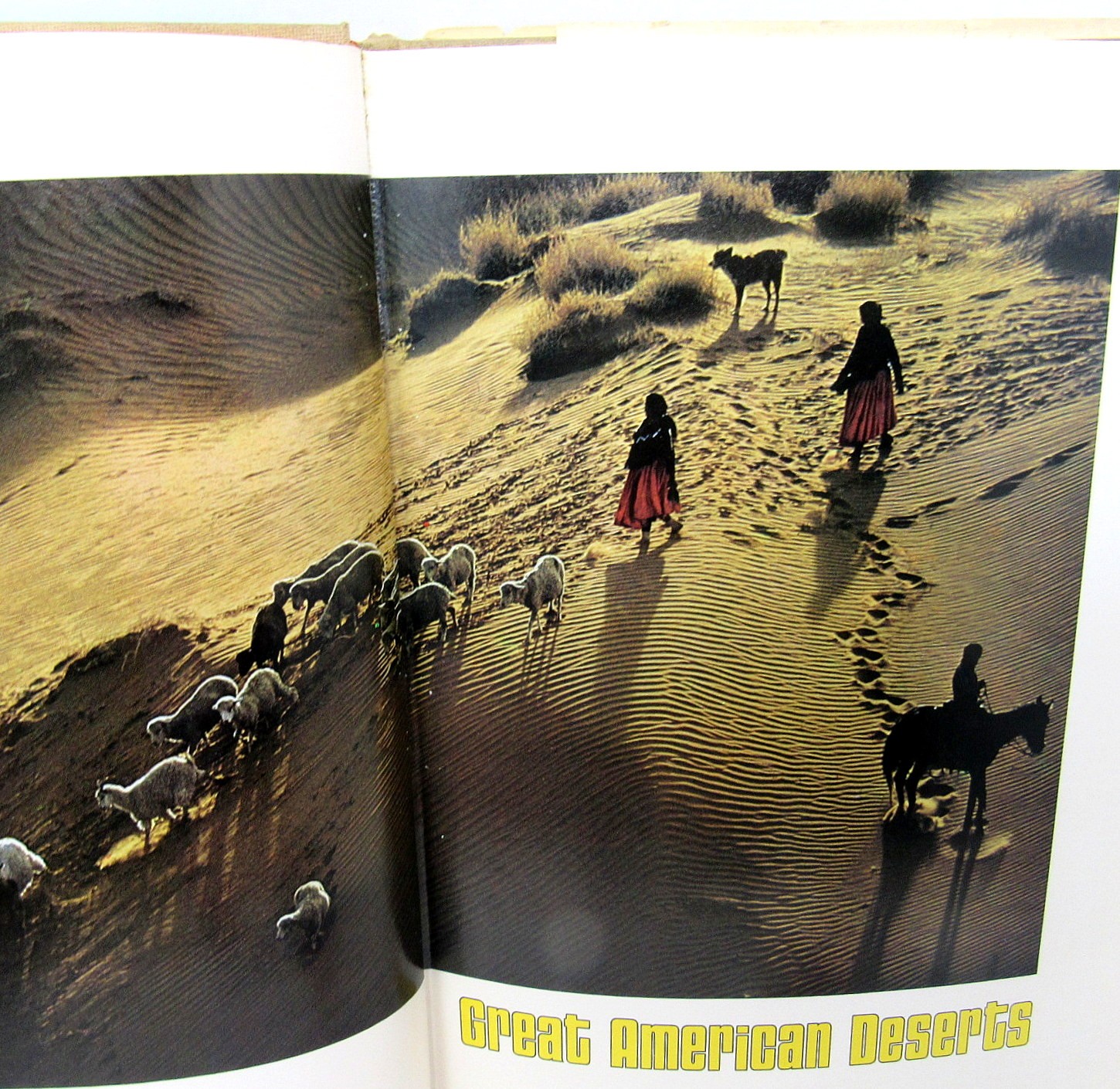 Great American Desserts Book National Geographic 1978 Non Fiction 208 Pages HC