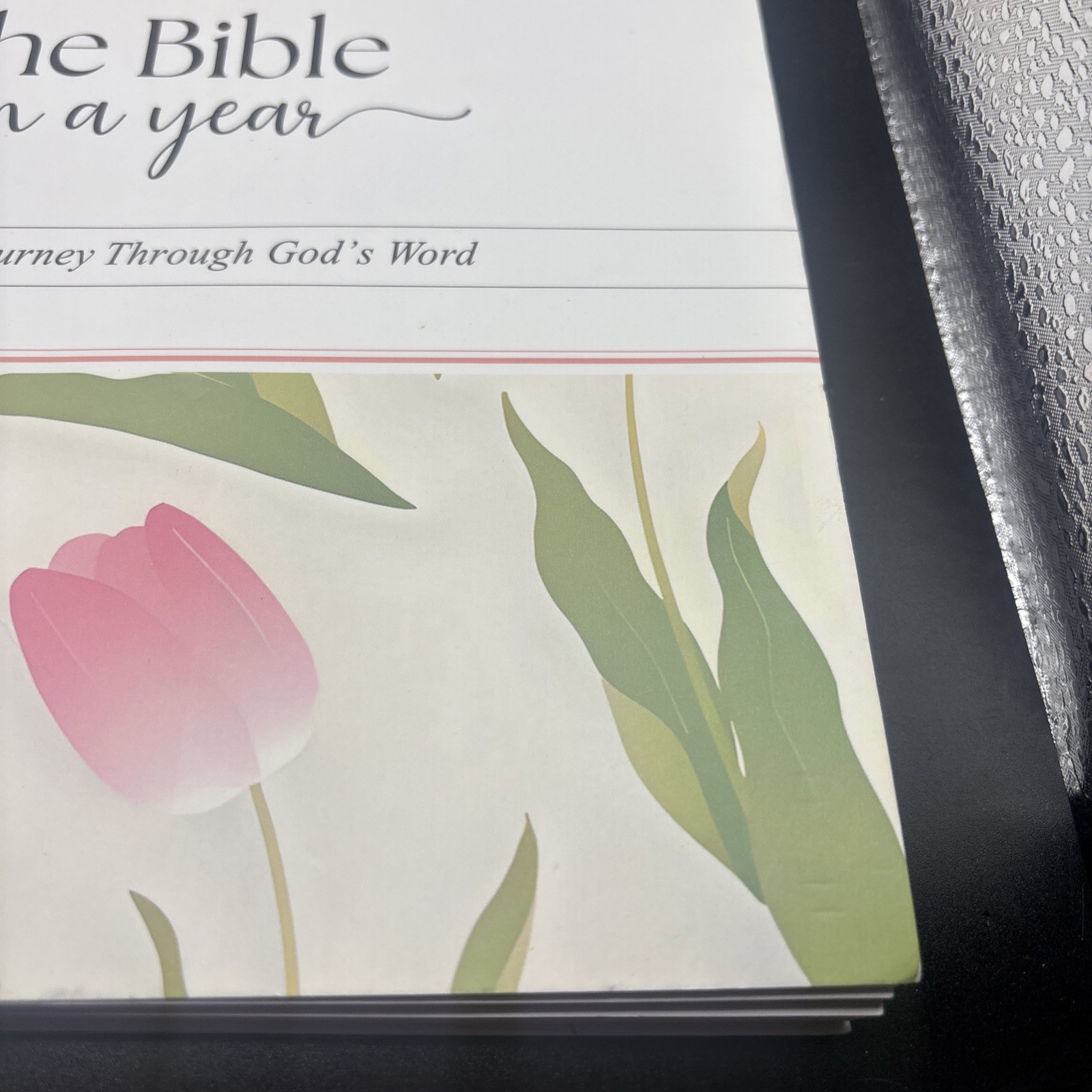 The Bible in a Year Spiral Bound Study Guide 52-Week Journey Through God’s Word