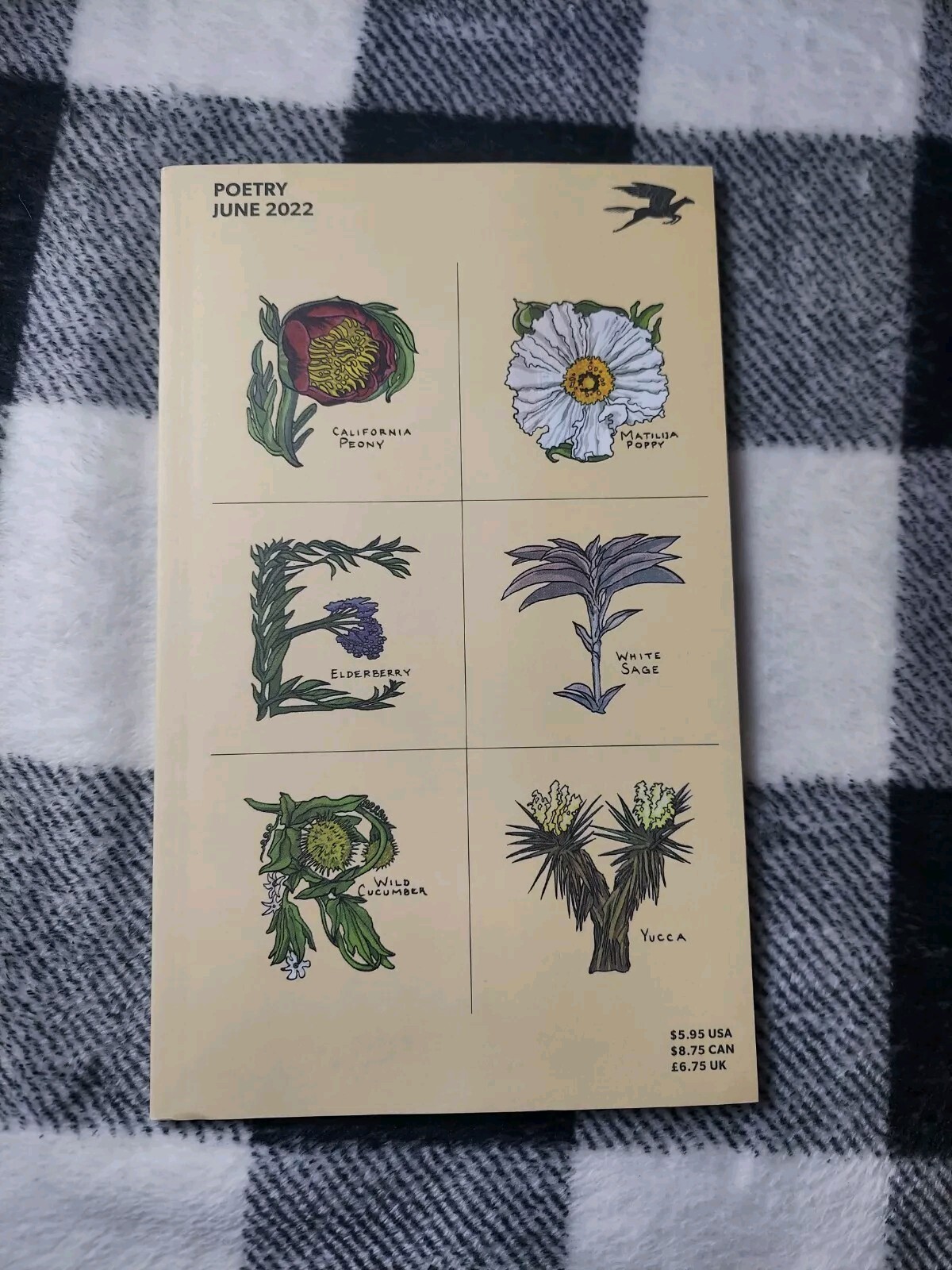 POETRY Magazine (June 2022 Vol 220 Number 3) Literature Poetry Magazine