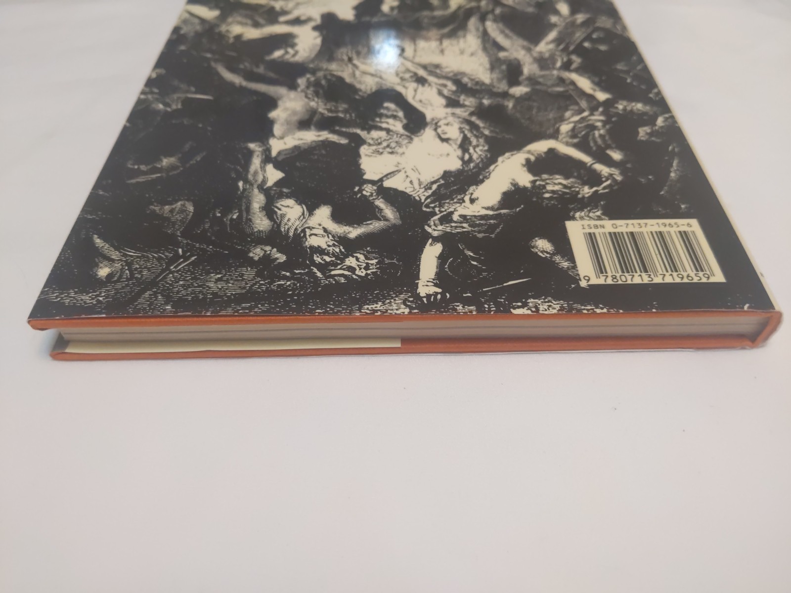 Women Warlords Hardcover Tim Newark Illustrated Military History Female Warriors