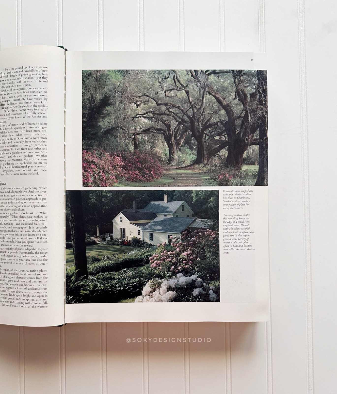 Taylor’s Guides Master Guide Gardening Hardcover Houghton Mifflin 1994 Illustra…