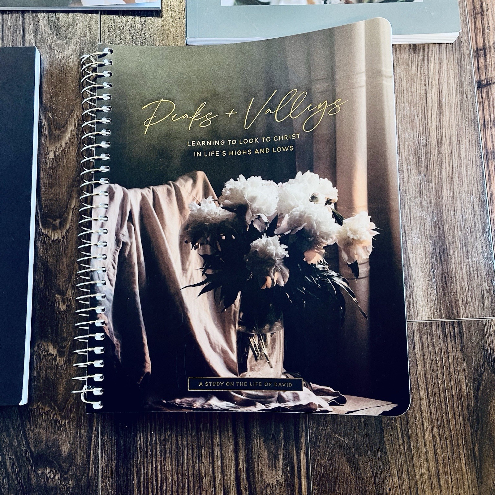 Lot of 5: The Daily Grace Co. Bundle, Devotionals Calendar Journal SHIPS FREE!