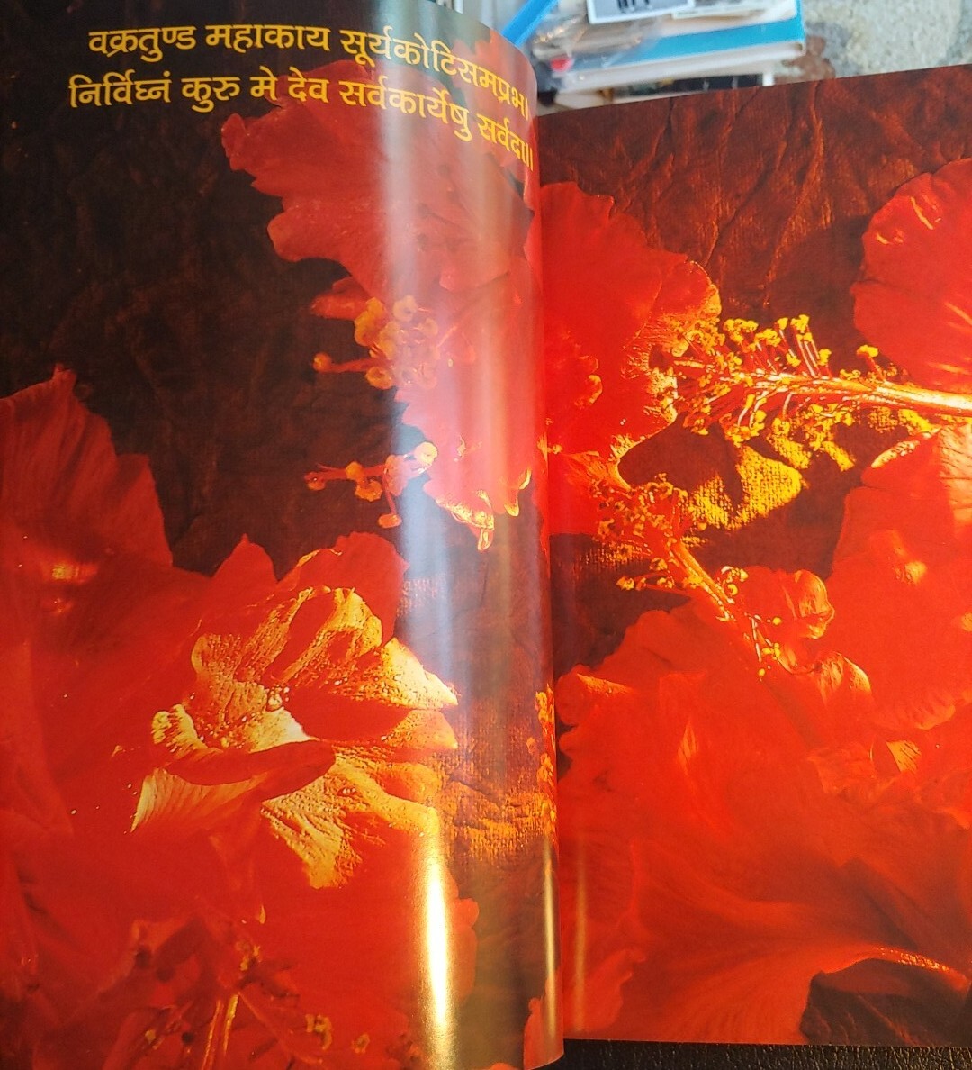 Ganesha – The God Of India, Sunil Vaidyanathan, Bombay 2004