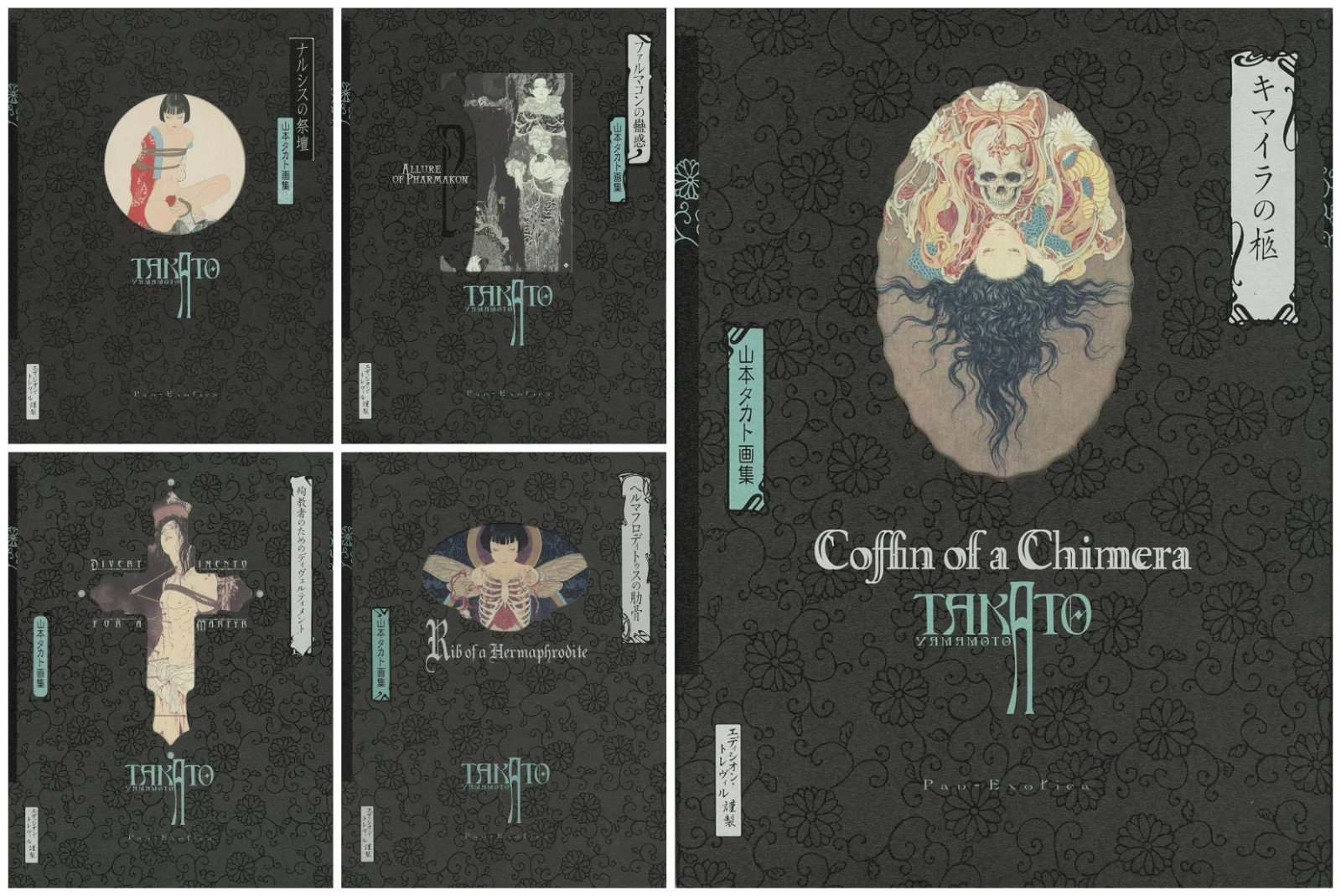 Takato Yamamoto Art Book 5 Set Pan Exotica Collection NEW Edition Japan