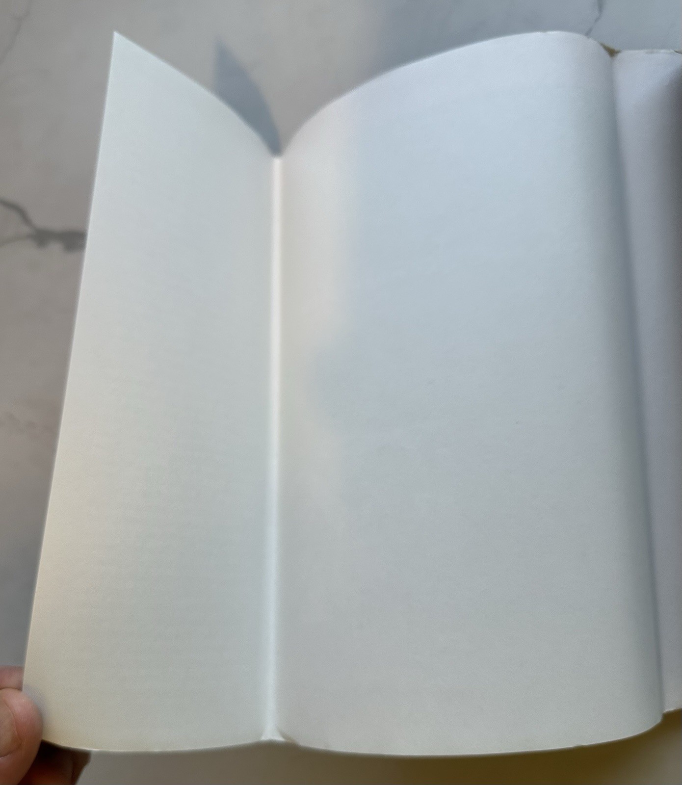 *Christo and Jeanne-Claude : A Biography by Burt Chernow 1st USA Edition Signed*