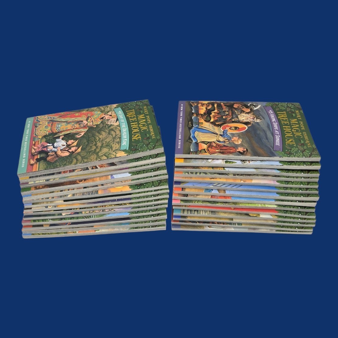 Set 6A: Magic Tree House A Library of Books 1-28 – Mary Pope Osborne Collection