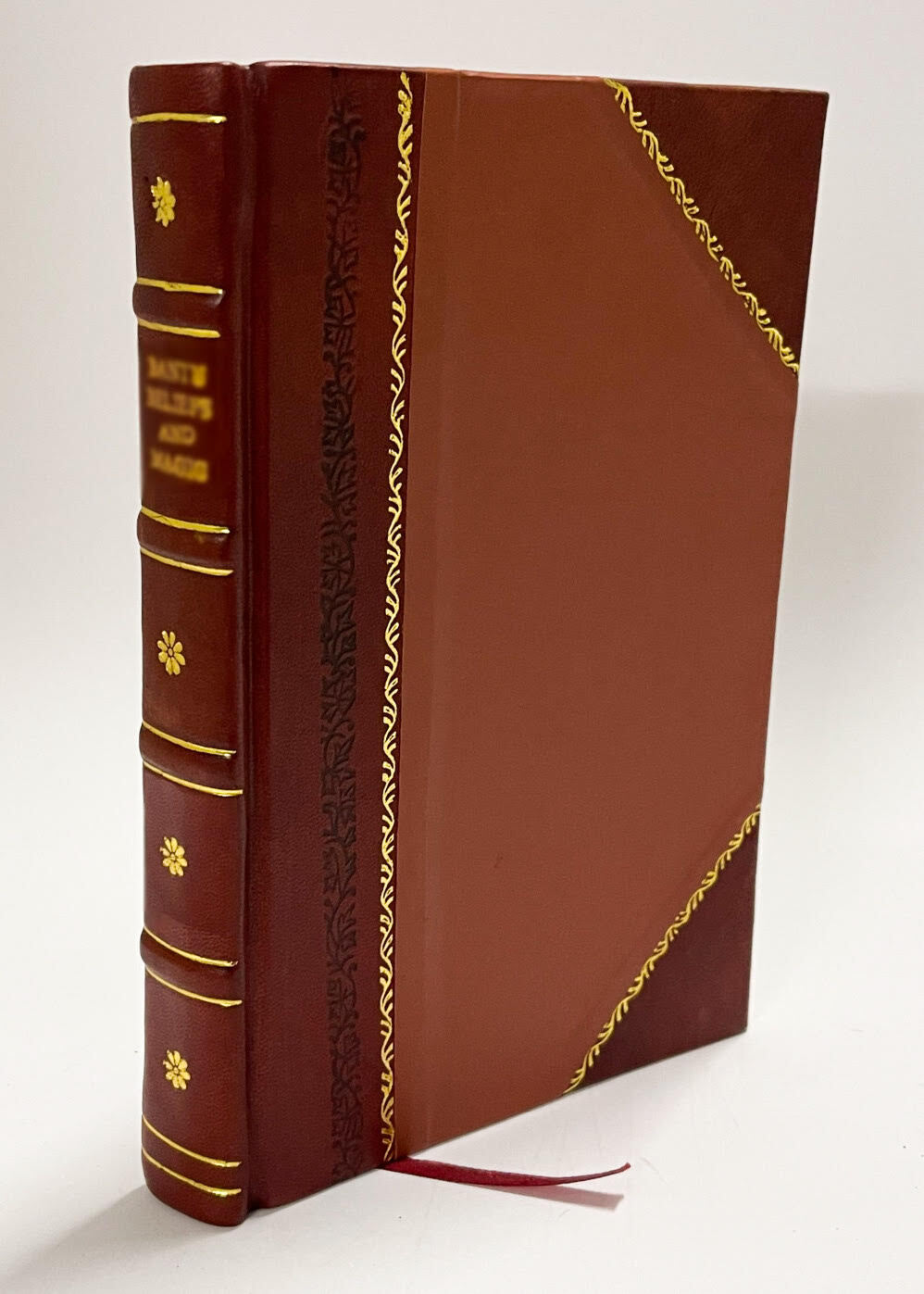 Swazieland and the Swazieland Corporation, Limited (1900) [Leather Bound]