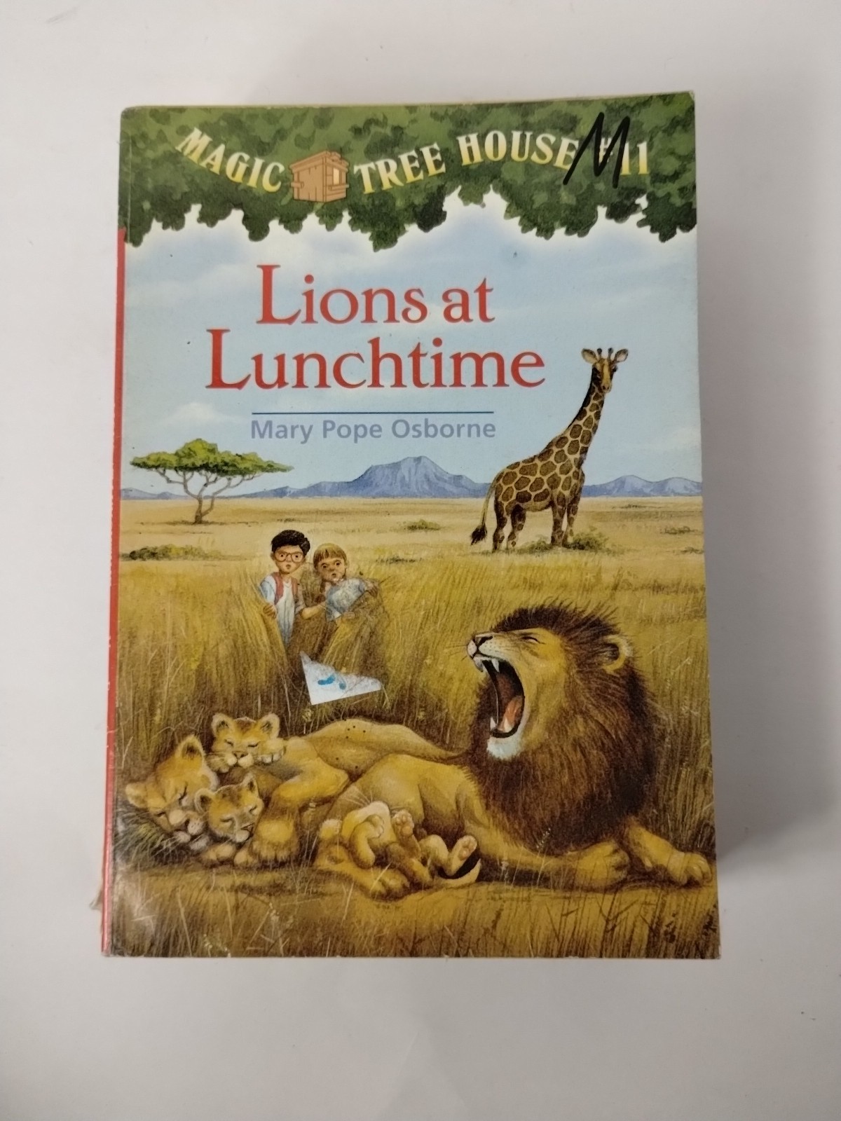 Miscellaneous Lot Of 14 Magic Tree House Books Mary Pope Osborne PB