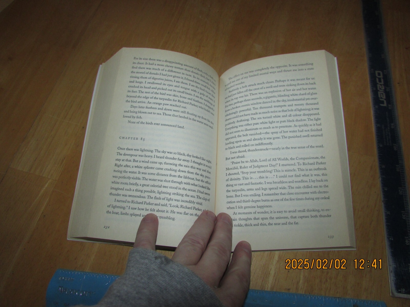 Life of Pi : A Novel by Yann Martel (2003, Trade Paperback)