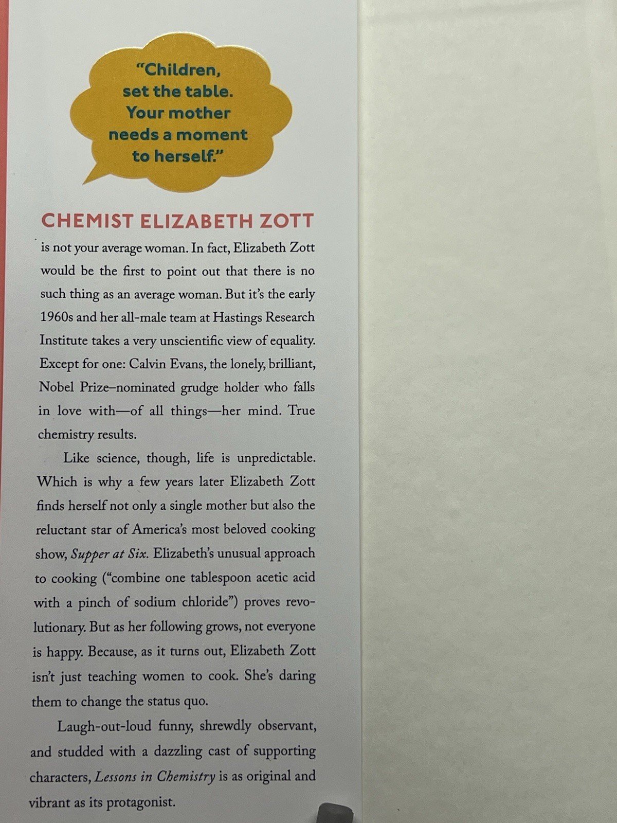 Guided Reading Lot of 8 Lessons in Chemistry by Bonnie Garmus HC Class Set 2022