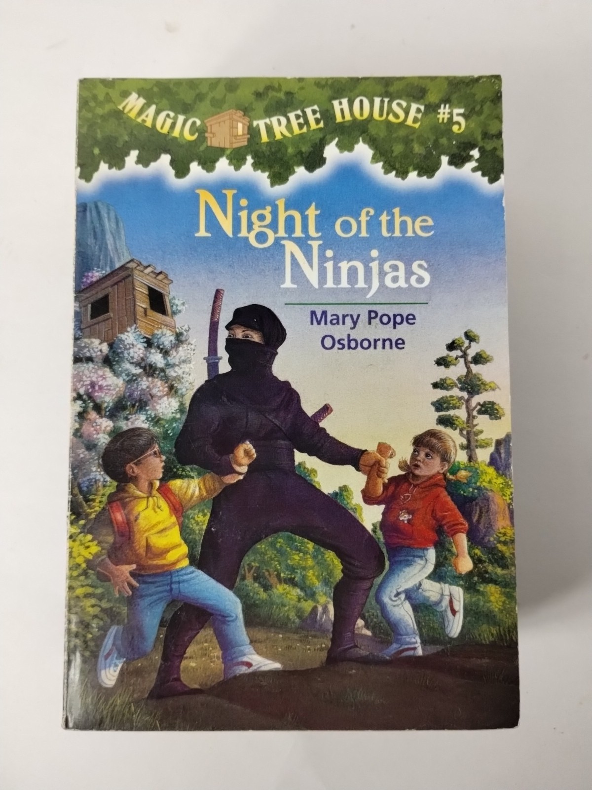 Miscellaneous Lot Of 14 Magic Tree House Books Mary Pope Osborne PB