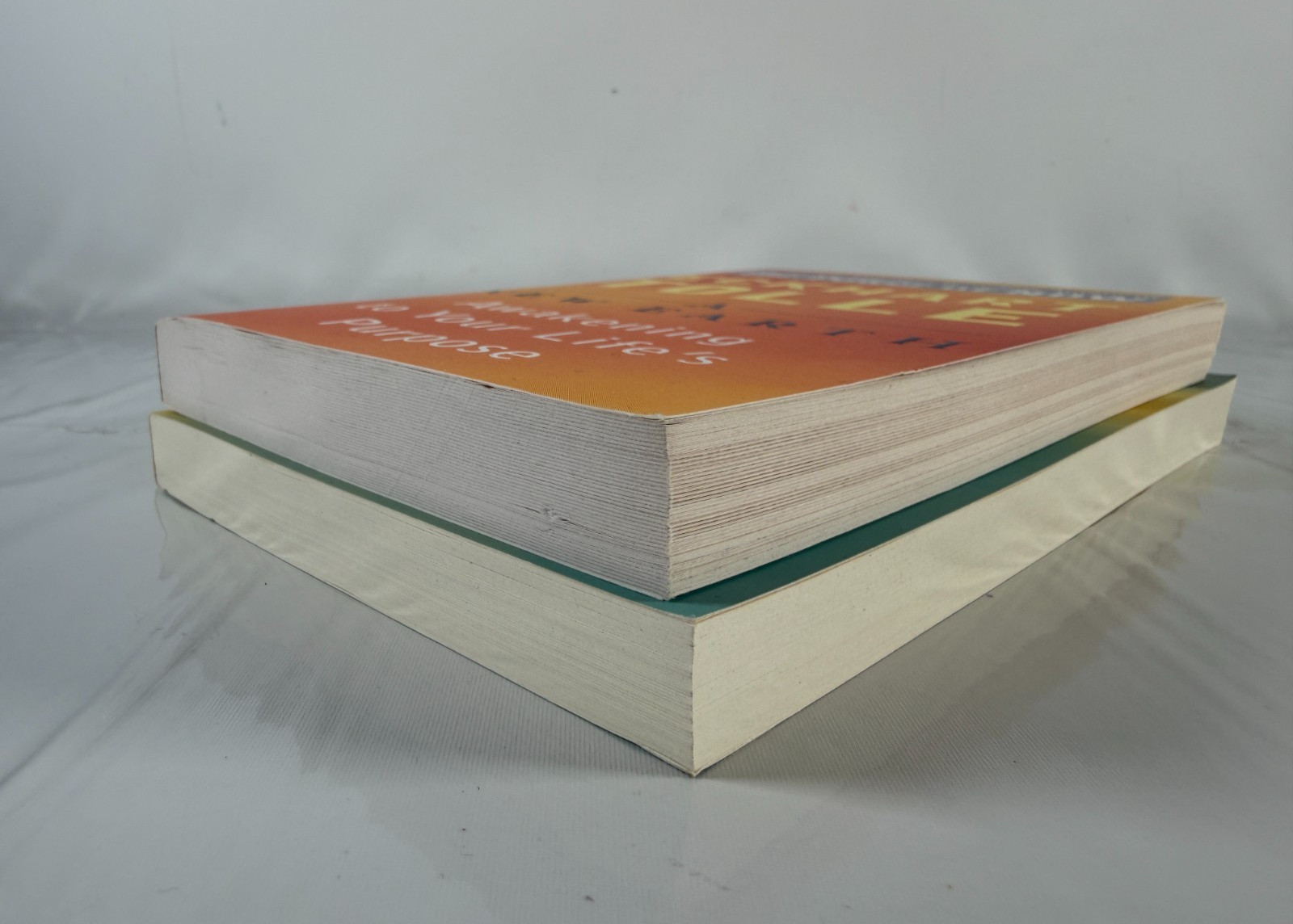 New Earth and The Power of Now by Eckhart Tolle – Lot of 2 Trade Paperbacks