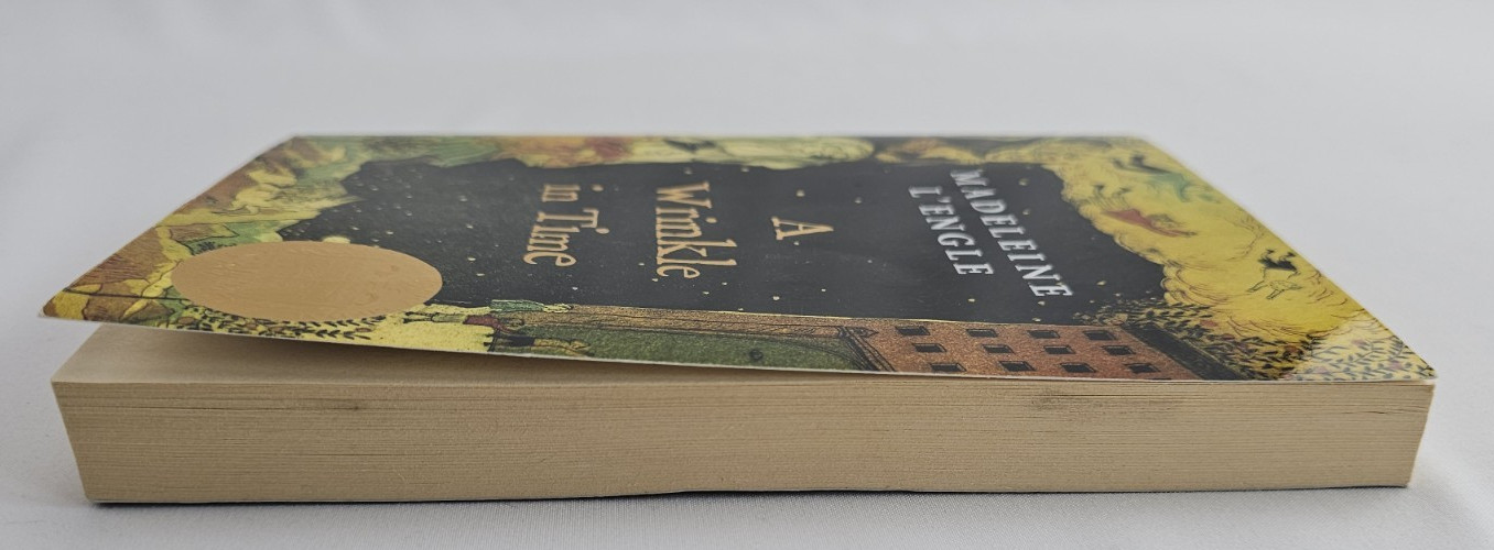 A Wrinkle in Time by Madeleine L’Engle – Paperback Edition (ISBN: 9780312367541)