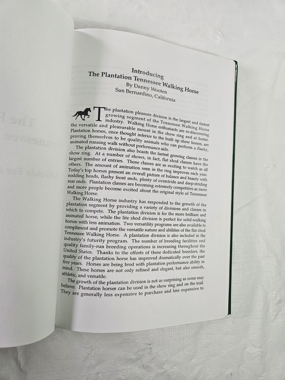 The Plantation Tennessee Walking Horse Guide HCDJ Vickie Mazzola 1992 Show Train