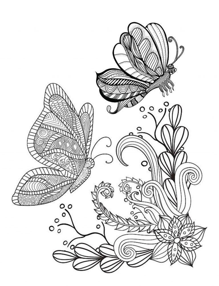 Color the Butterflies Coloring book 108 Pages 8.5 x 11 for All Ages