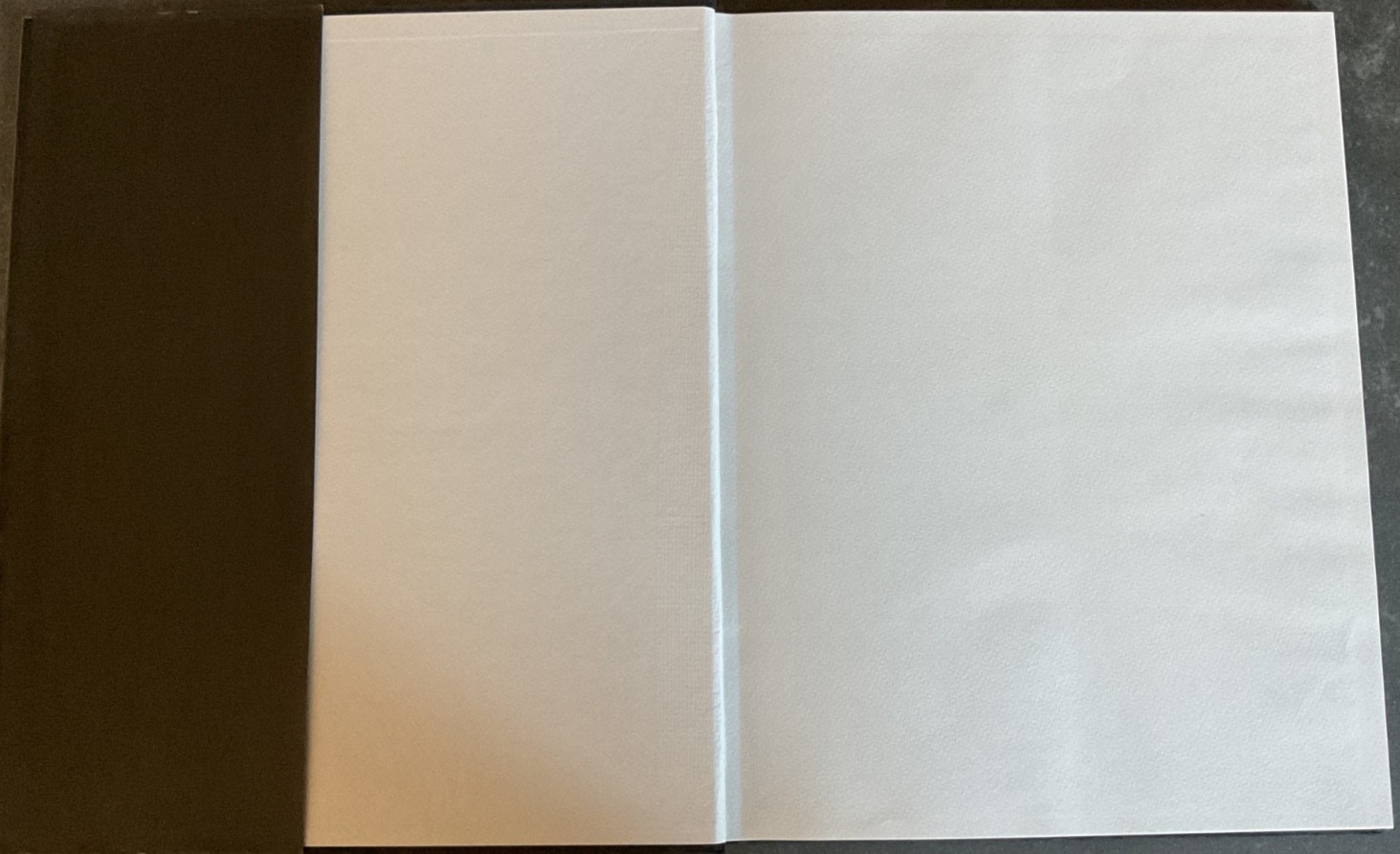 George Platt Lynes: Photographs 1931-1955 Jack Woody Twelvetrees Press HC/DJ