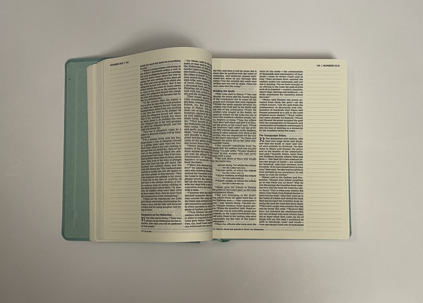 NIV Journal the Word Bible, Double-Column, Cloth Over Board, Teal, Red Letter