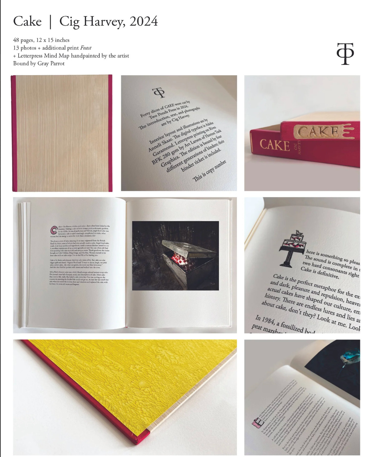 BRAND NEW CIG HARVEY CAKE 39TH COPY PHOTOGRAPHY BOOK
