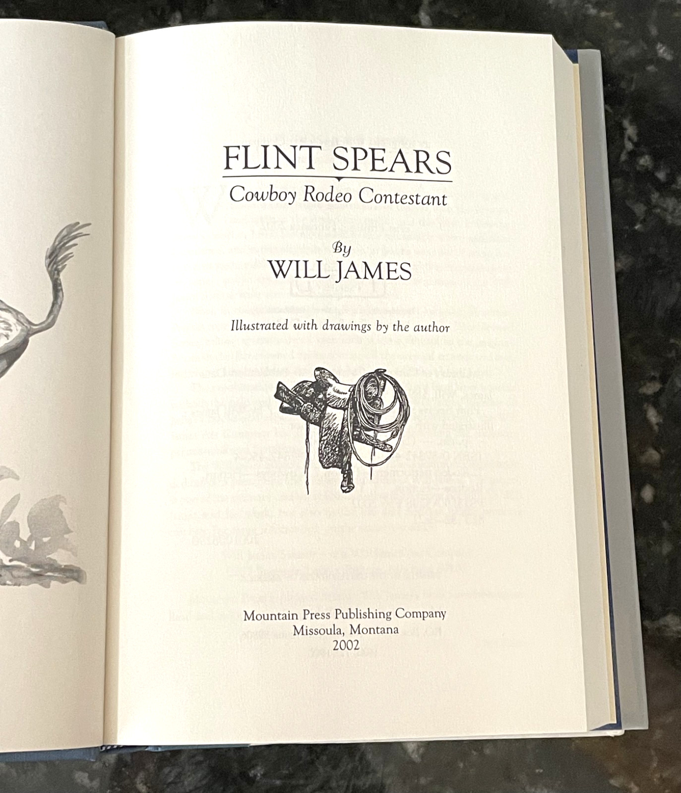 Flint Spears: Cowboy Rodeo Contestant by Will James (Hardcover, 2002)