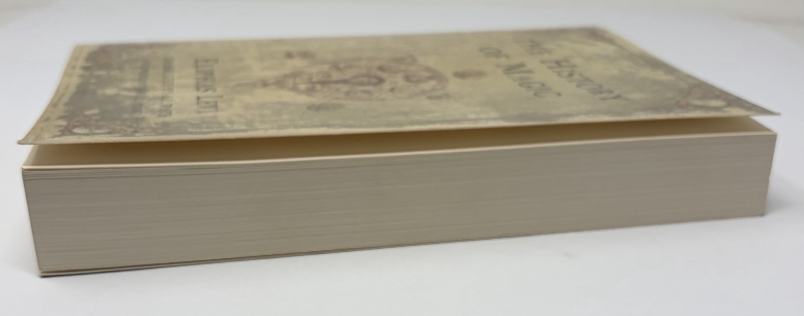The History of Magic by Eliphas Levi Paperback Book Occult Studies Classic Text
