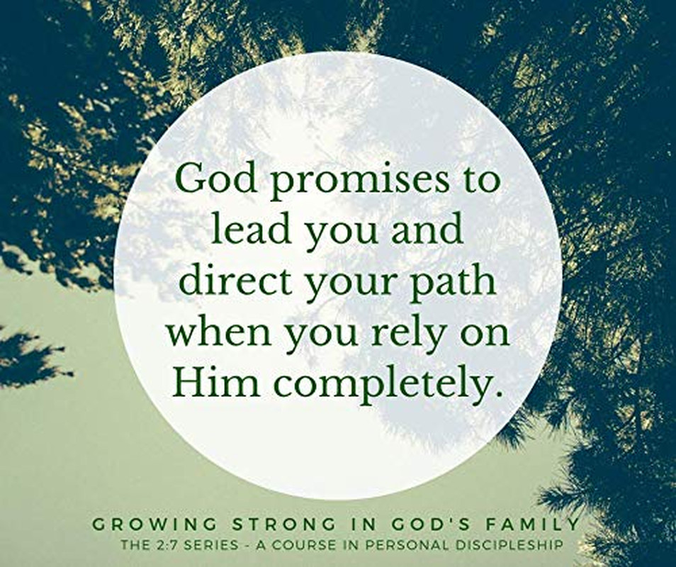 Growing Strong in God’S Family: Rooted and Built up in Him (The 2:7 Series)