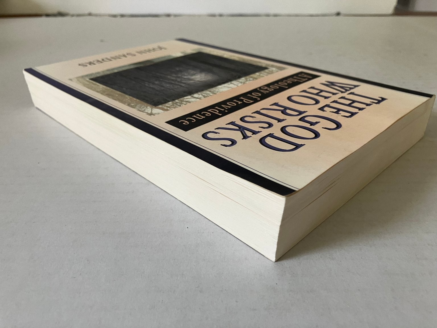 The God Who Risks John Sanders 1998 Theology of Providence InterVarsity Press