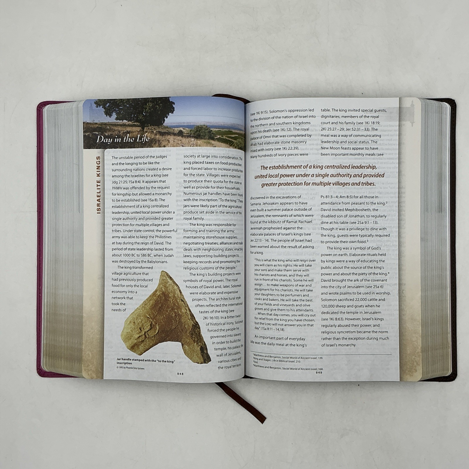 Zondervan NIV First Century Study Bible Dobson Italian Duo Tone Chocolate Orchid