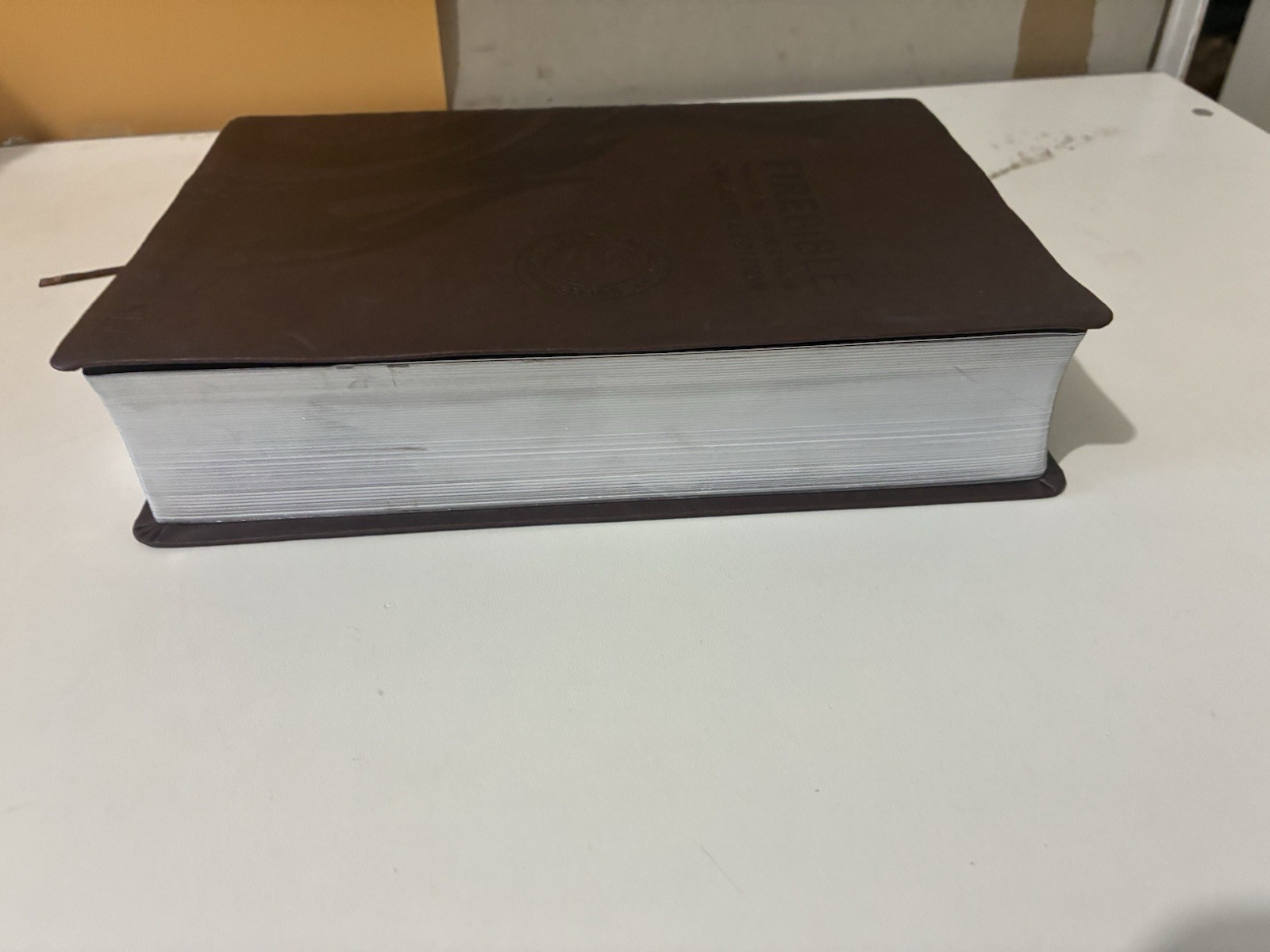 FIRE BIBLE New living Translation Chi Alpha Edition Leather Soft Cover