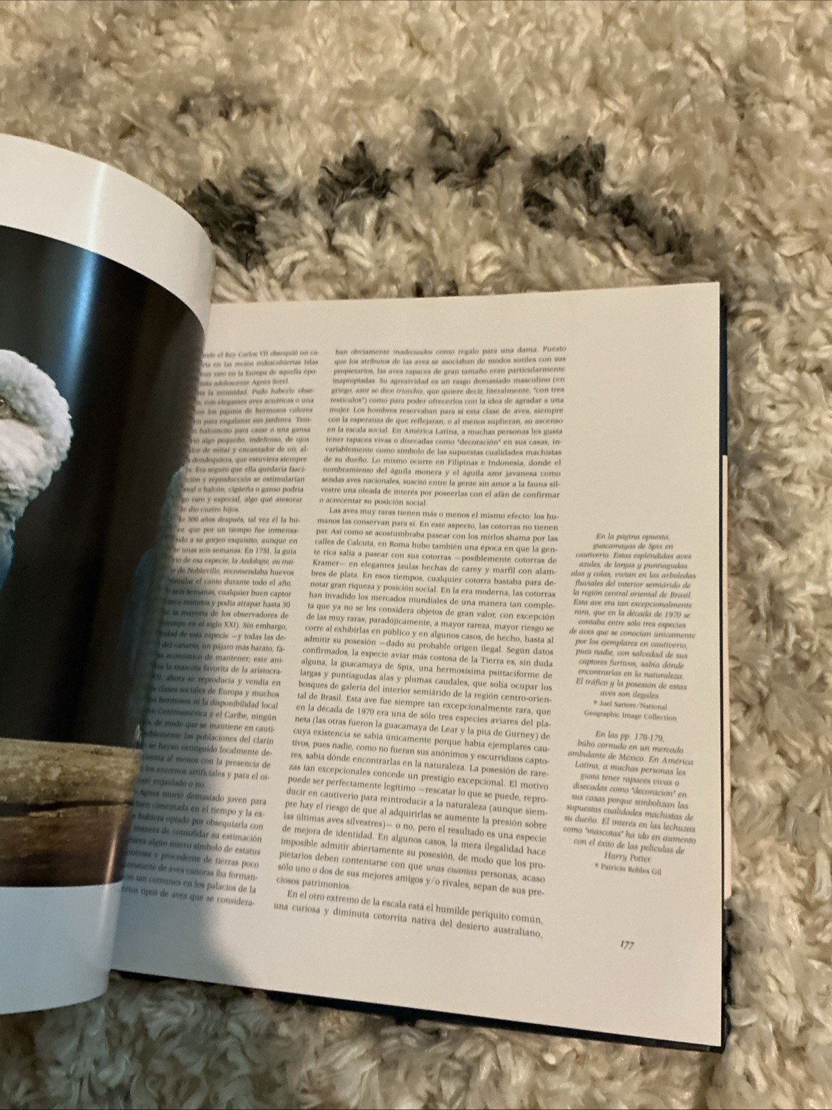 La Avery El Hombre Vinculos A Traverse Del Tiempo The Wild Foundation H/C Book
