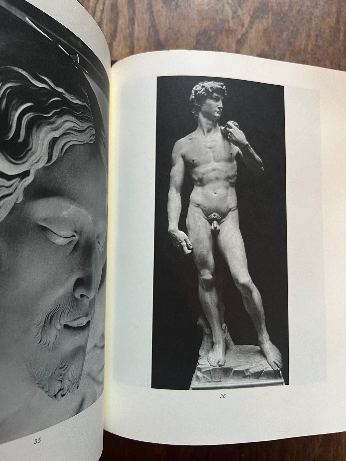 Michelangelo 3 Volume set (Youth, The Medici Chapel, The Tomb of Julius II)