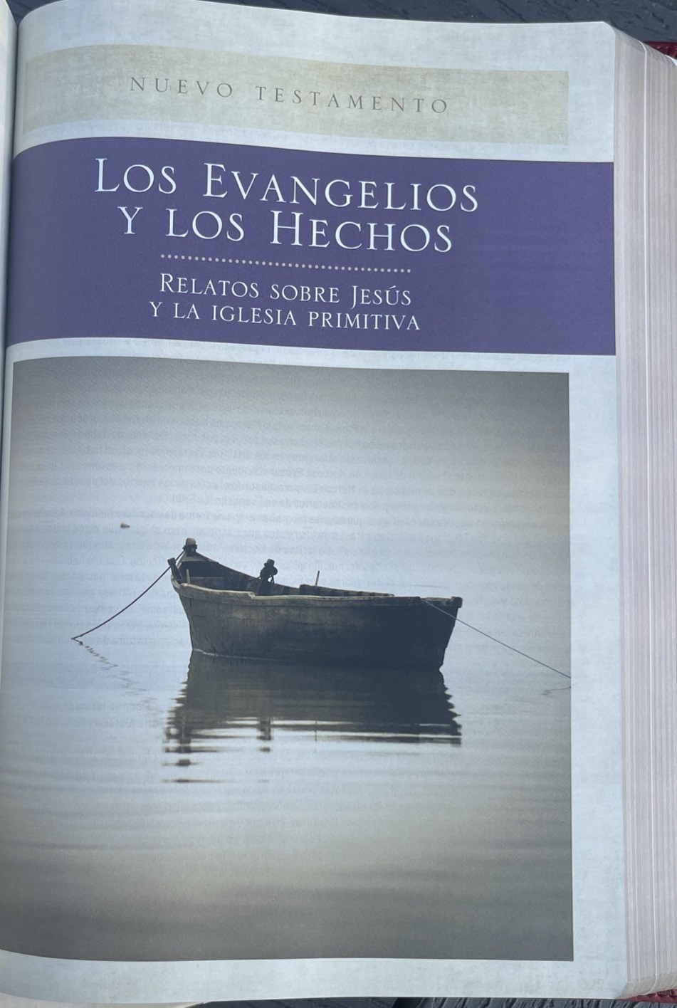 RVR, Biblia de Estudio Trasfondo Cultural, Leathersoft, Rojo Vino, Interior a…