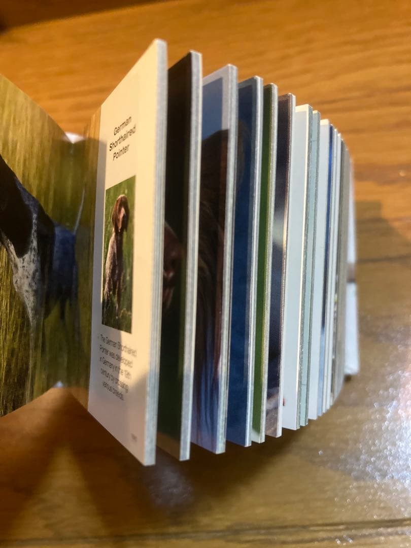 !Cute cube book, foreign book, mini book, interior