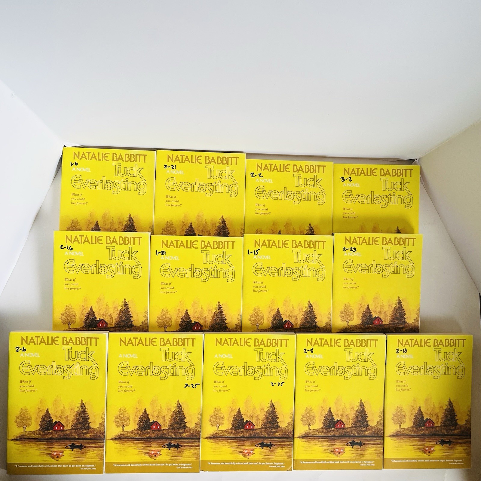 Lot of 13 Tuck Everlasting Natalie Babbitt Square Fish Classroom Guided Reading
