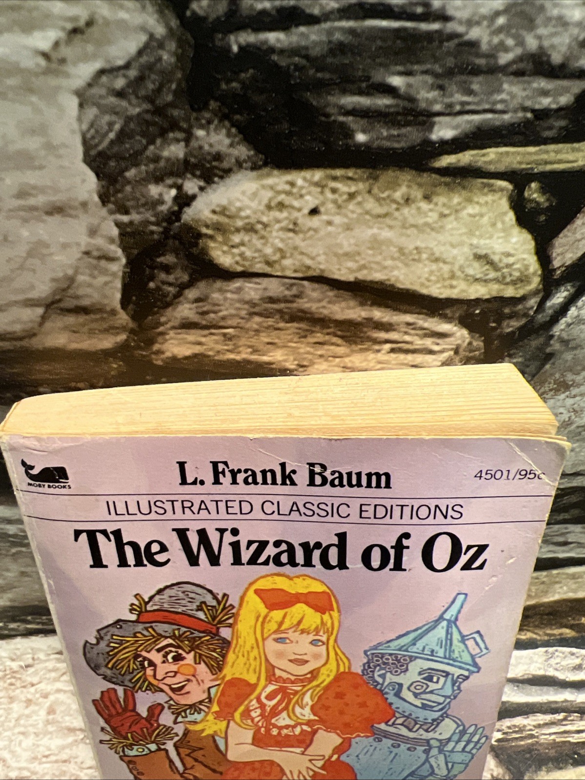 Vintage The Wizard of Oz – L. Frank Baum – Moby Books Illustrated 1977 Mini Book