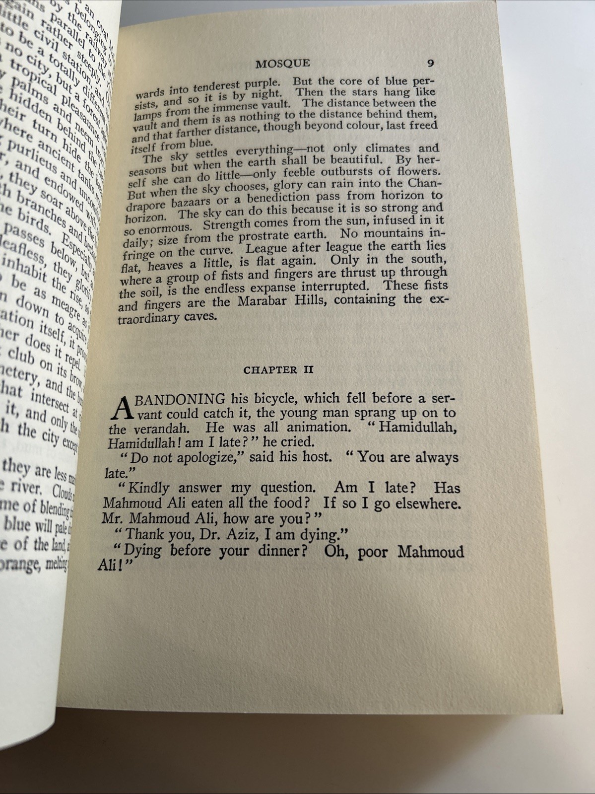 A Passage to India by E M Forster ~ 1984 Trade Paperback 📕 ab5