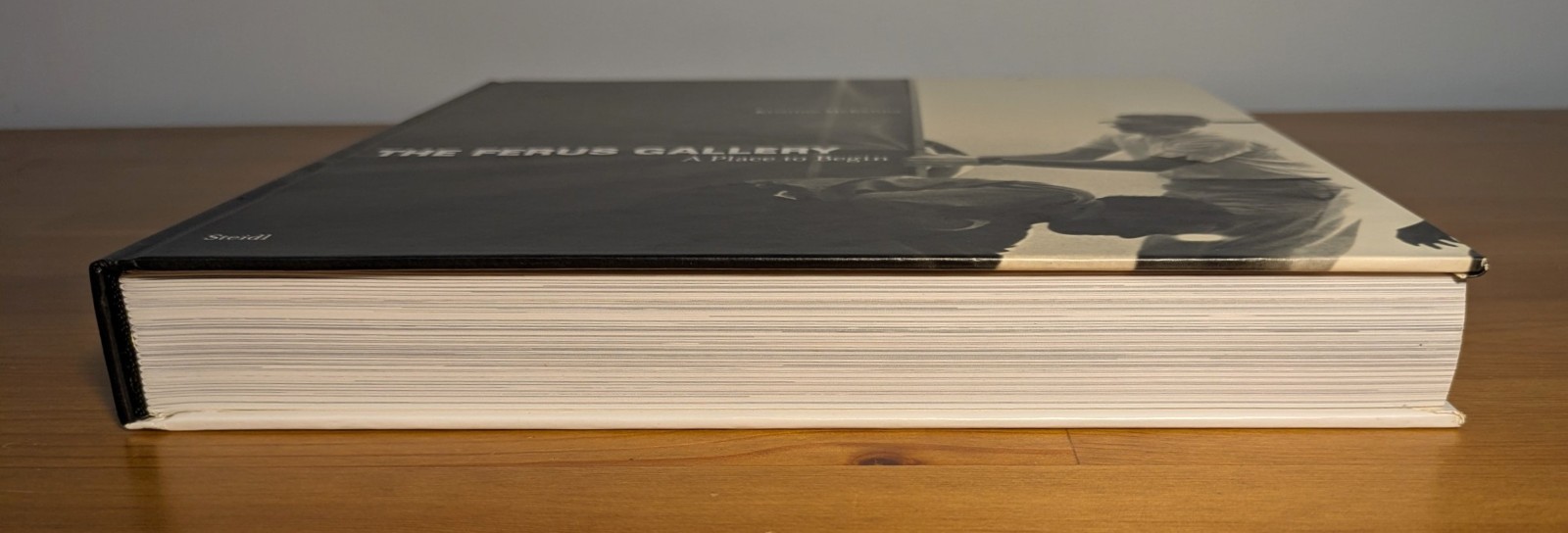 Kristine McKenna: The Ferus Gallery, A Place to Begin 1st Steidl 2009 NF art