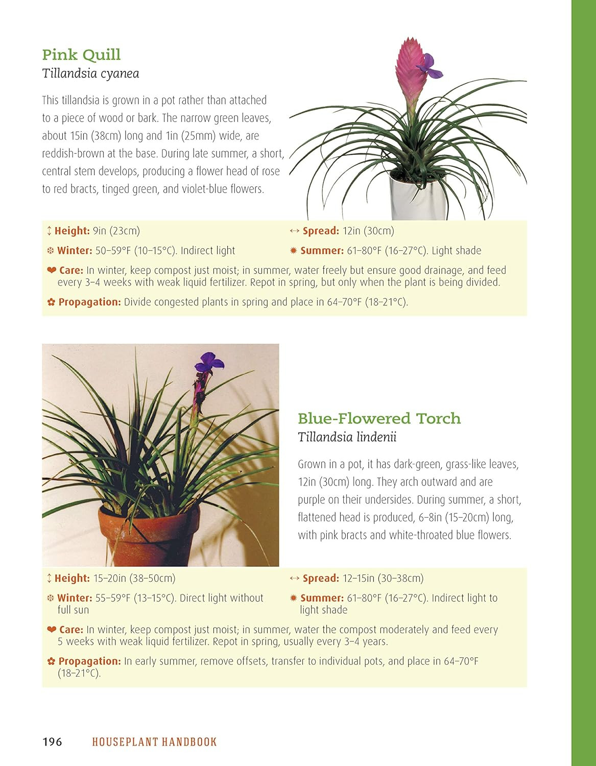 Houseplant Handbook: Basic Growing Techniques and a Directory of 300 Everyday Ho