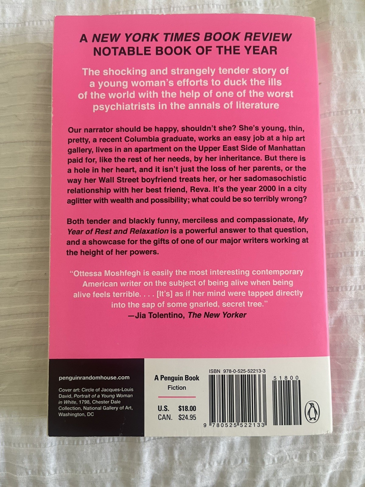 my year of rest and relaxation – moshfegh ottessa (v good)