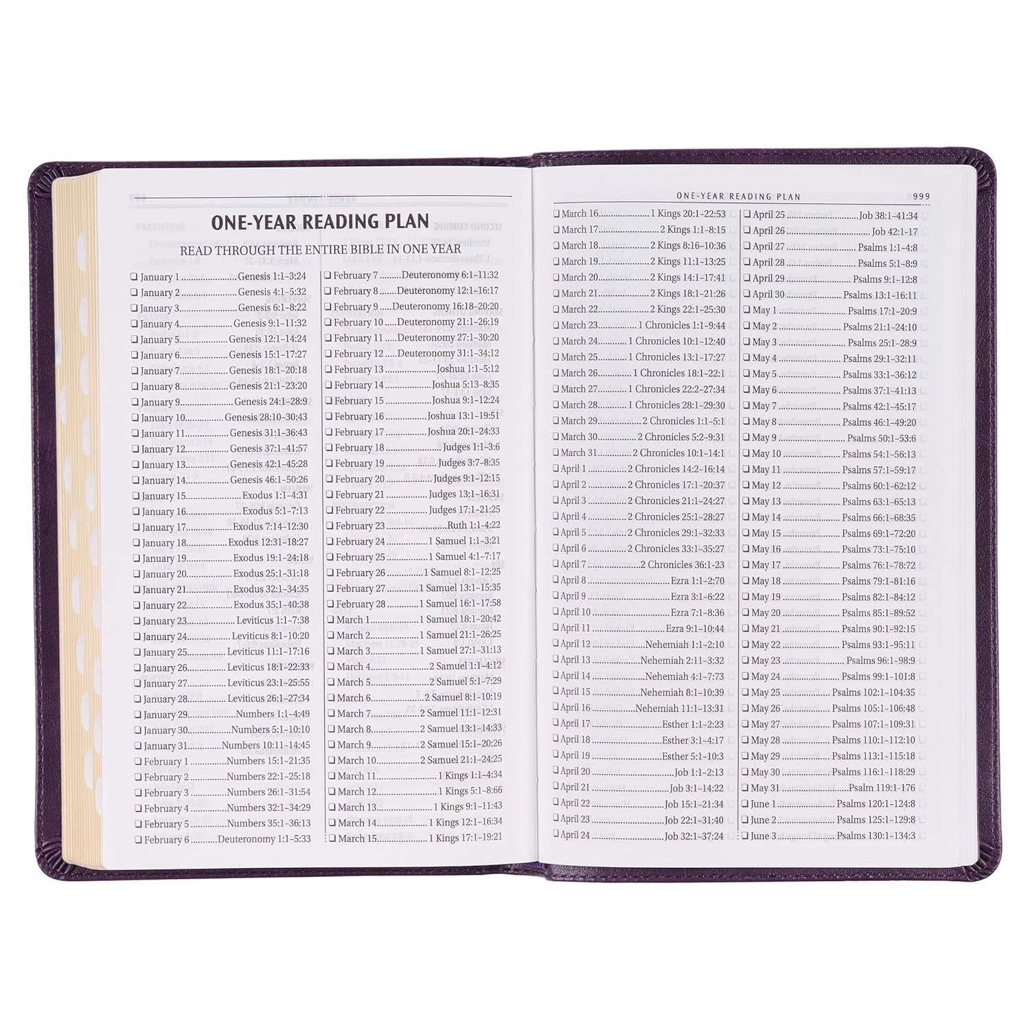 KJV Holy Bible, Standard Size Faux Leather Red Letter Edition Thumb Index & Ribb