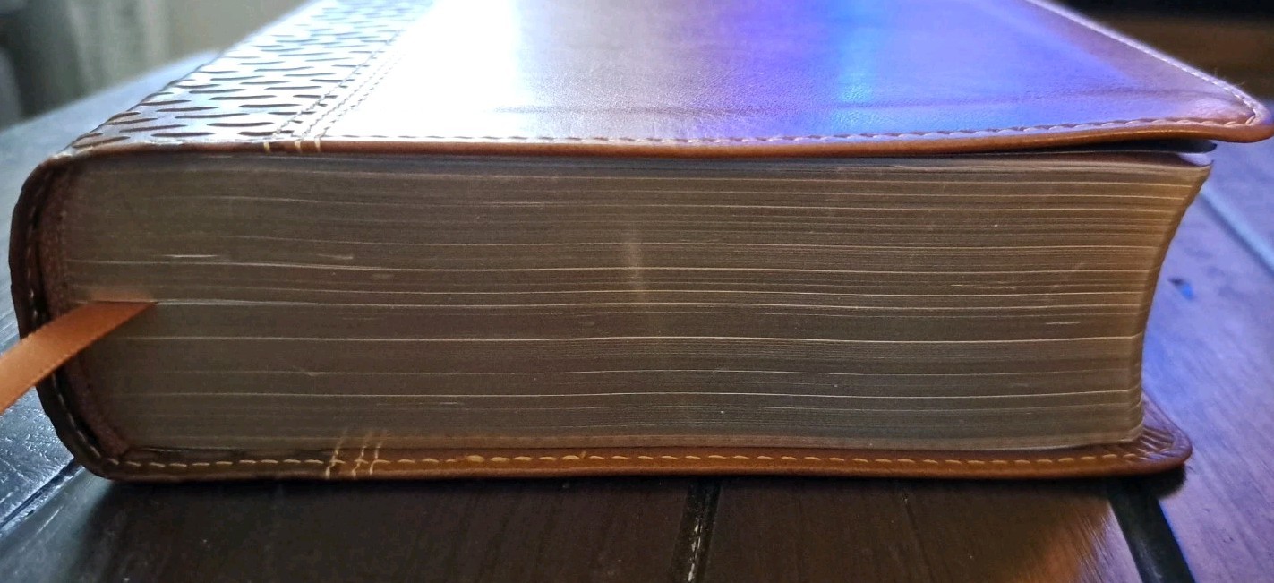 NKJV, American Woman’s Bible, Leathersoft, Brown, 2016 – LIKE NEW