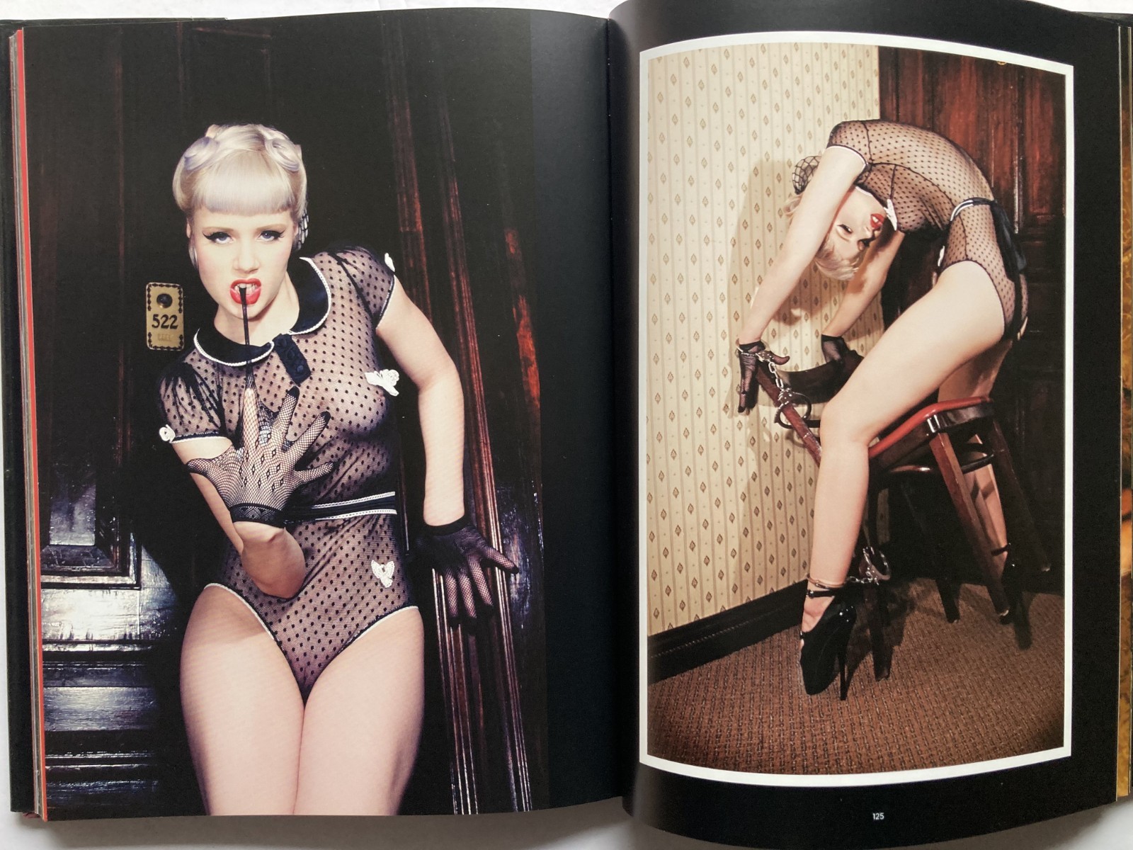 VIVA’S PINUPS – BULLET BRAS AND BACKSEAT BETTIES / VIVA VAN STORY / HARDBOUND