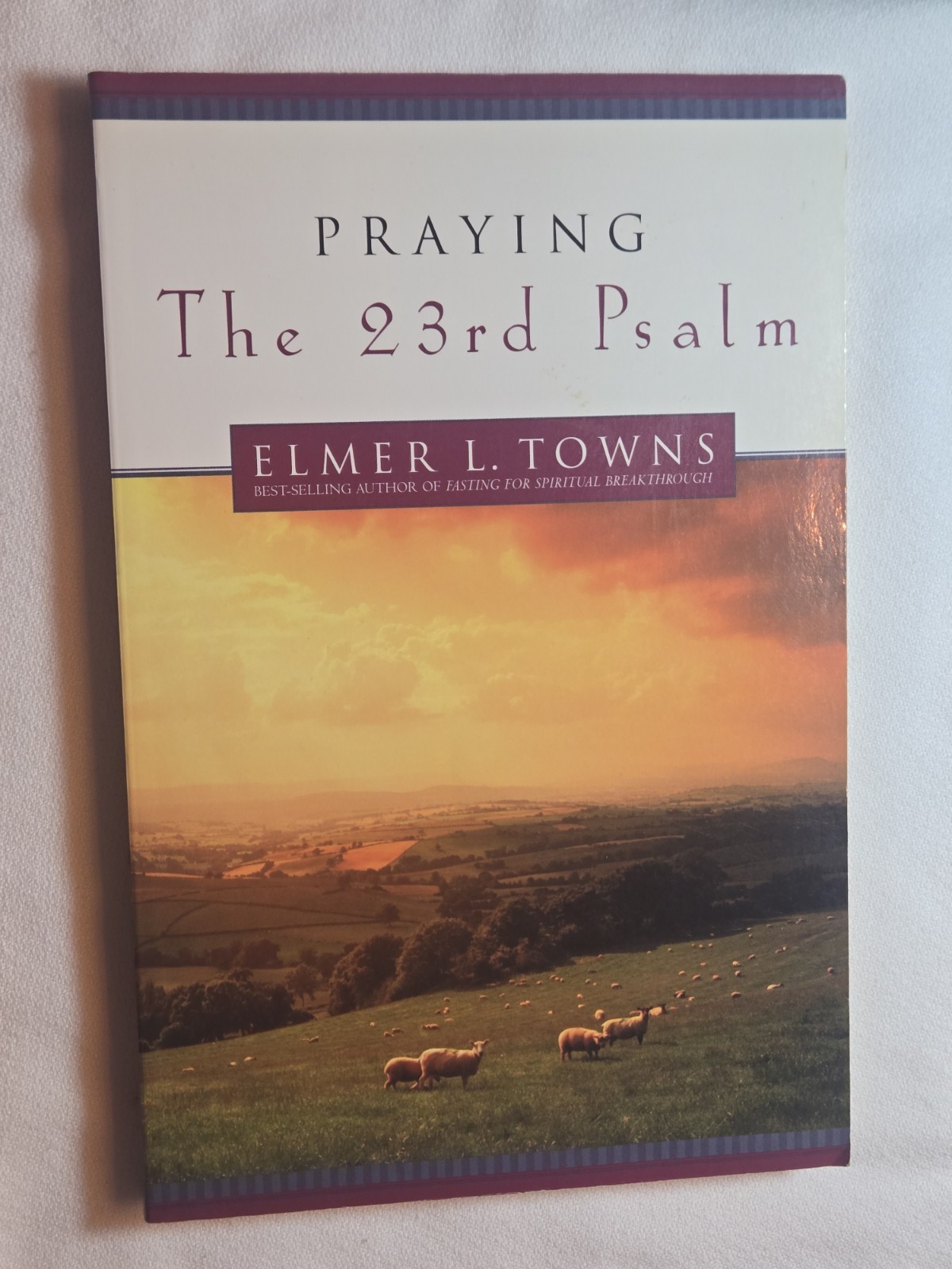 Regal Books Praying The 23rd Psalm PB Elmer L. Towns 2001 Signed Edition