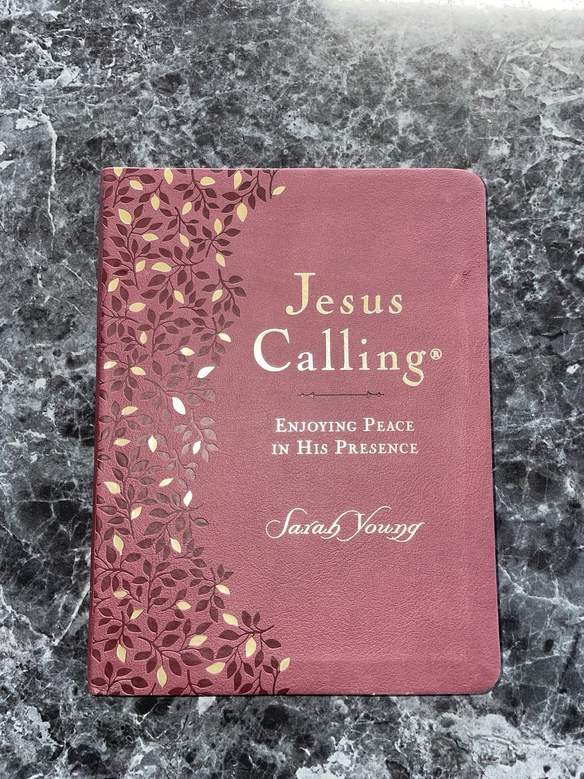 Jesus Calling: Enjoying Peace in His Presence – 365 Day Devotional