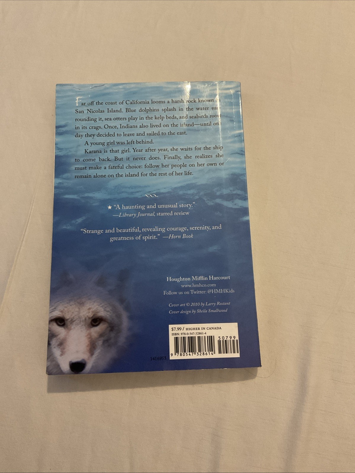 Island of the Blue Dolphins – Paperback By ODell, Scott – GOOD