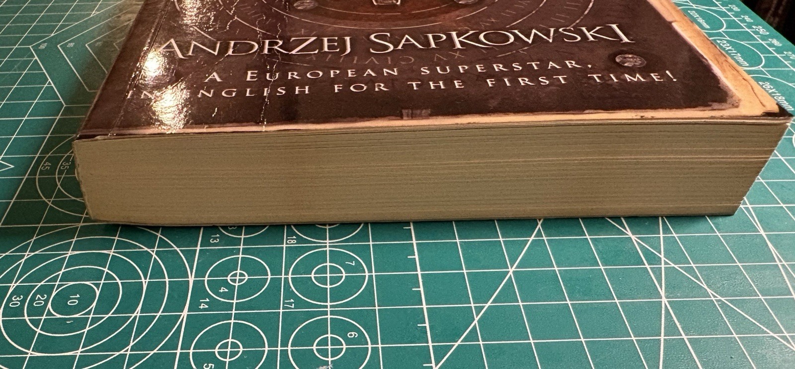 The Last Wish 1st English Ed Softcover Andrzej Sapkowski The Witcher Near Fine!