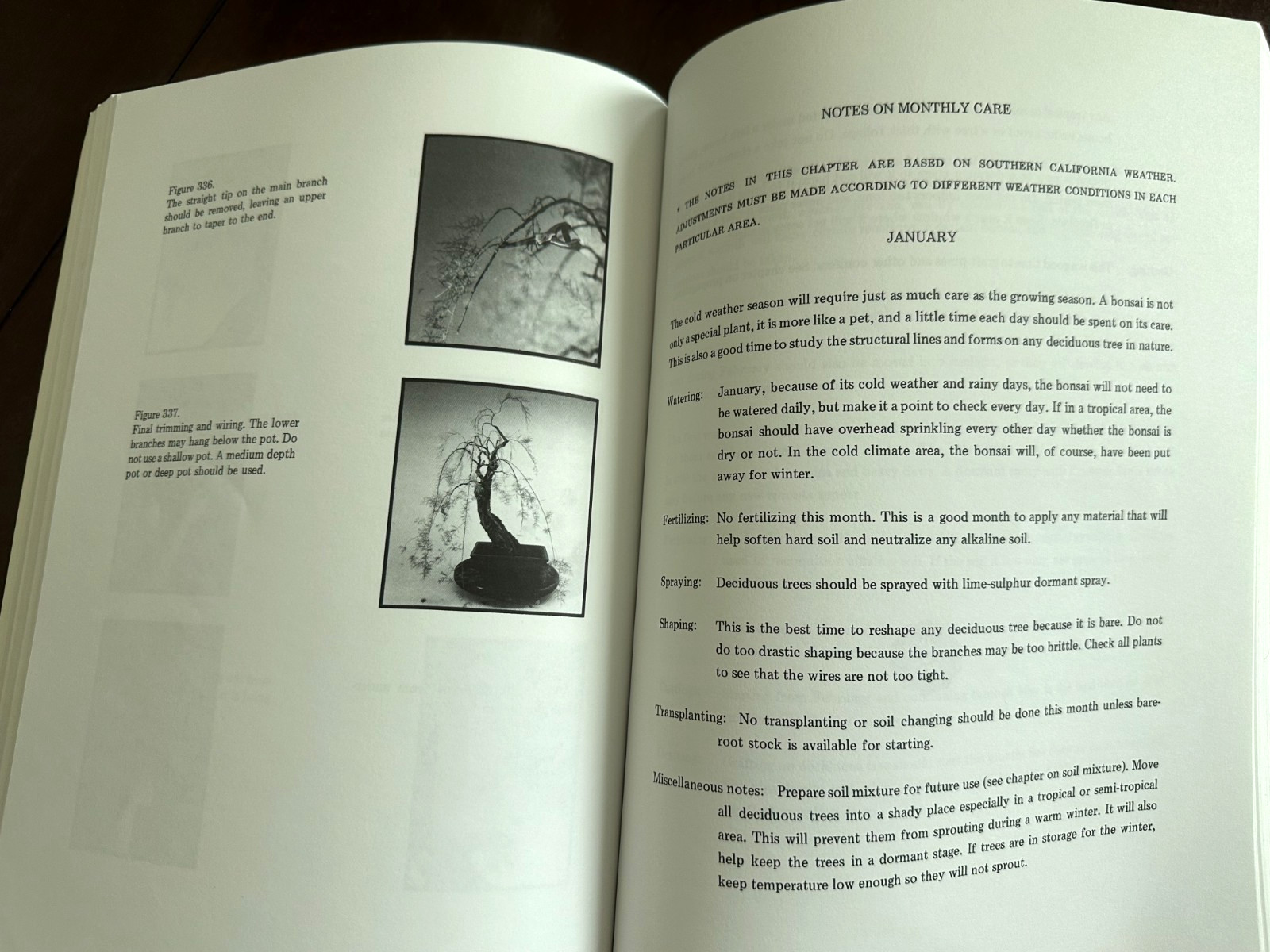 BONSAI TECHIQUES I by John Yoshio Naka (269 pages, Paperback)
